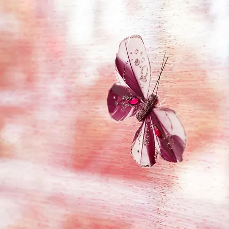 Apartmán Le Lasteyras - En Centre Vichy