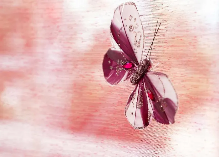 Apartamento Le Lasteyras - En Centre Vichy