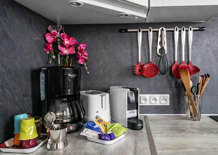 Le Lasteyras - En Centre Apartamento *